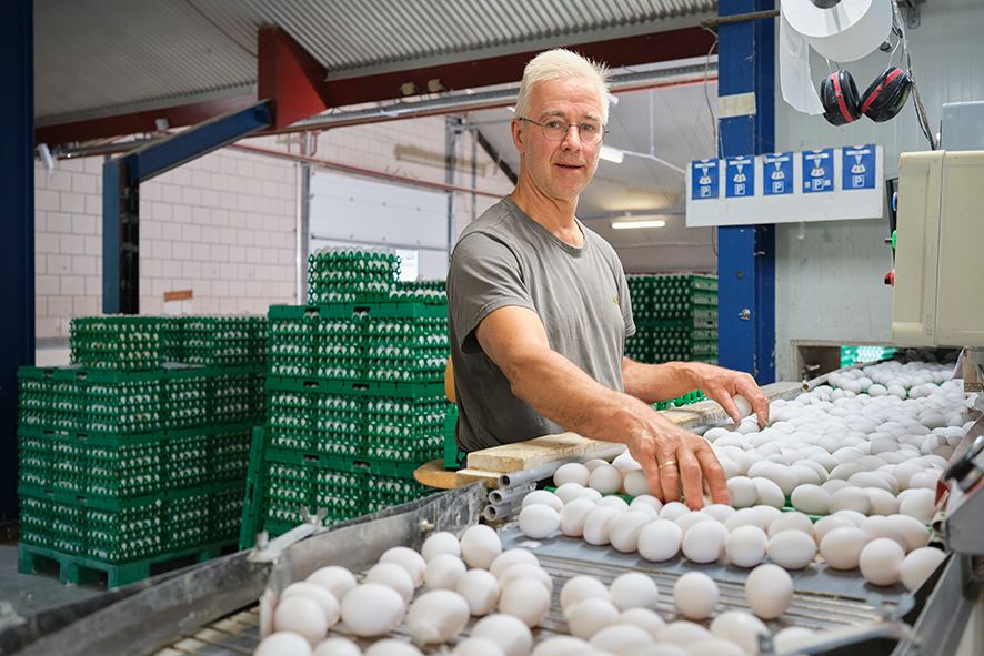 AV2024-07-09 Abeos_AVK1662_FINAL-10x15cm_150 dpi.jpg