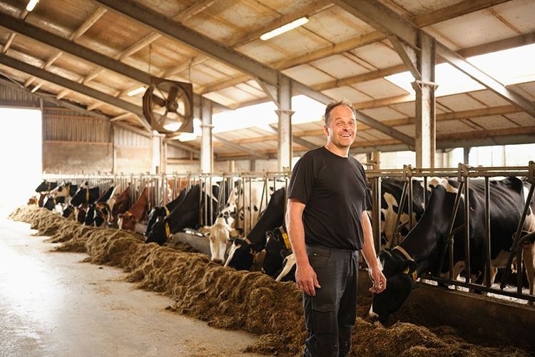 Bertho Scholte op Reimer over zijn ervaringen met de bedrijfsverzorging van Abeos