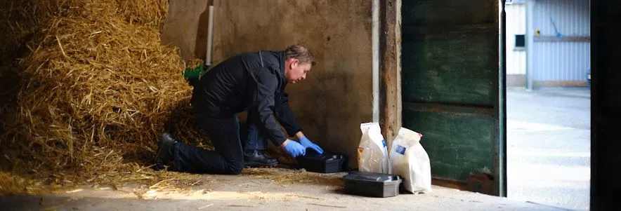 Banner plaagdier2.JPG